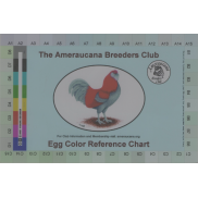 Egg Color Card
